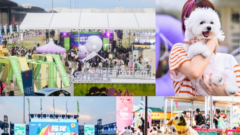 fig1+题图.png