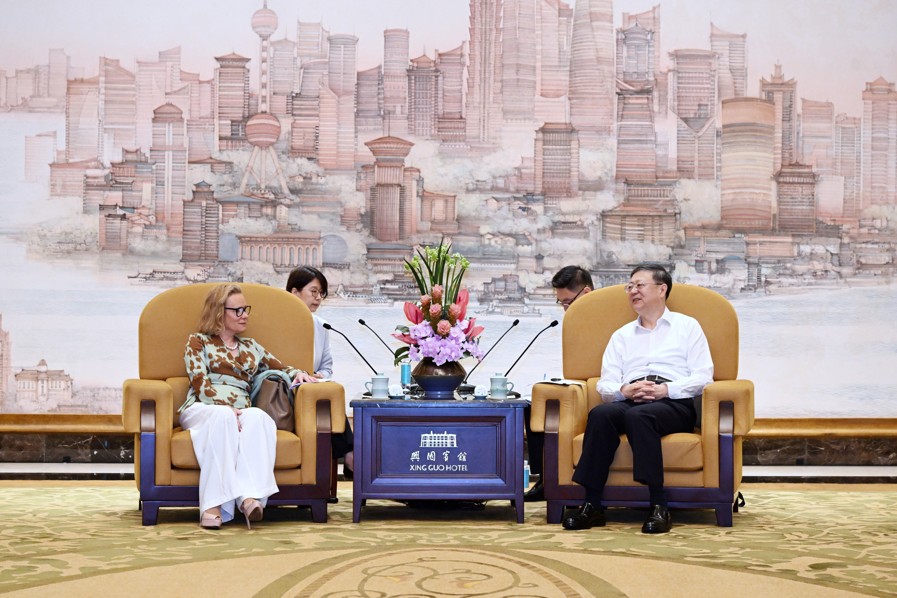 Chen Jining rencontre successivement des dirigeants de Sanofi et du groupe HSBC 