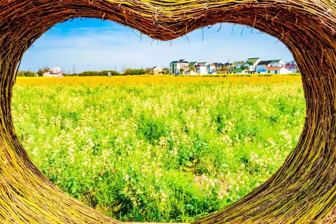 La Saison des excursions printanières dans les campagnes de Shanghai 2026 est lancée le 15 mars