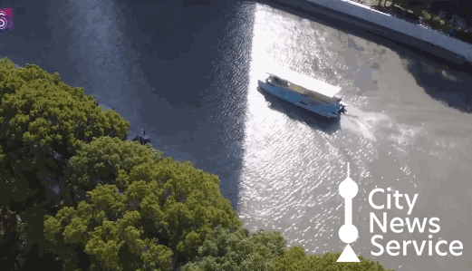 fig1.gif
