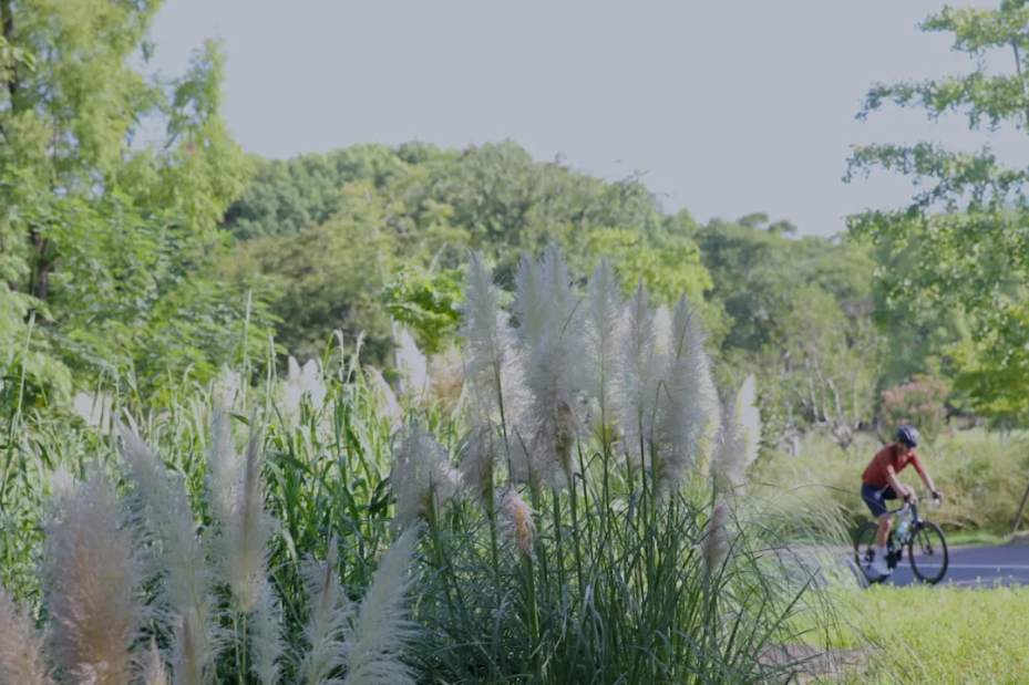 Recommandation de parcours cyclistes rafraîchissants à Shanghai