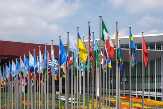 Le compte à rebours est lancé pour l'ouverture de la 8ᵉ CIIE