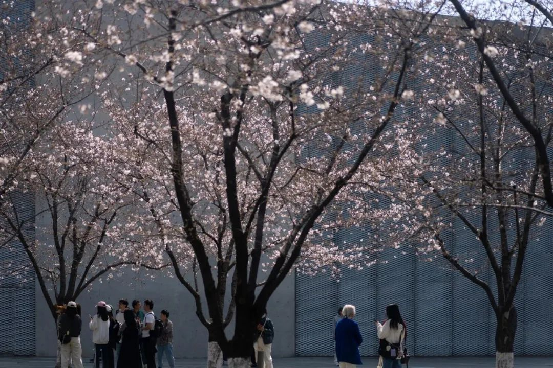 fig8.jpg fig8.jpg