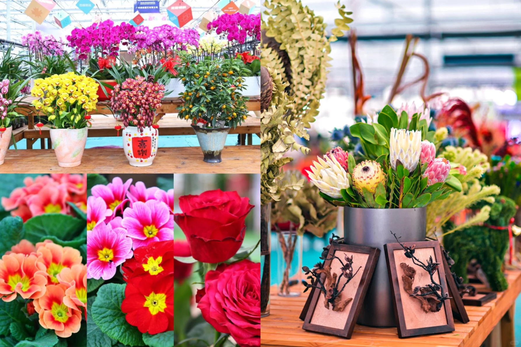 Où acheter des fleurs du Nouvel An chinois dans la ville
