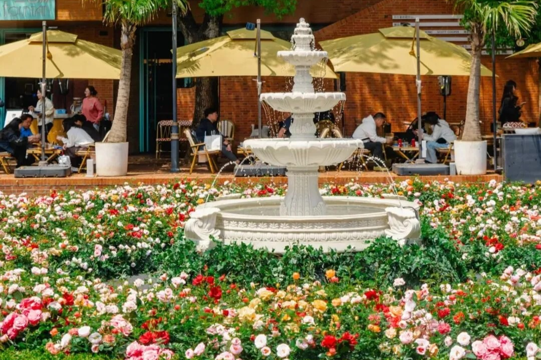 Les centres commerciaux de Shanghai accueillent un océan de fleurs printanier