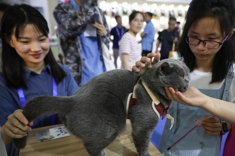 PET FAIR ASIA bat un nouveau record