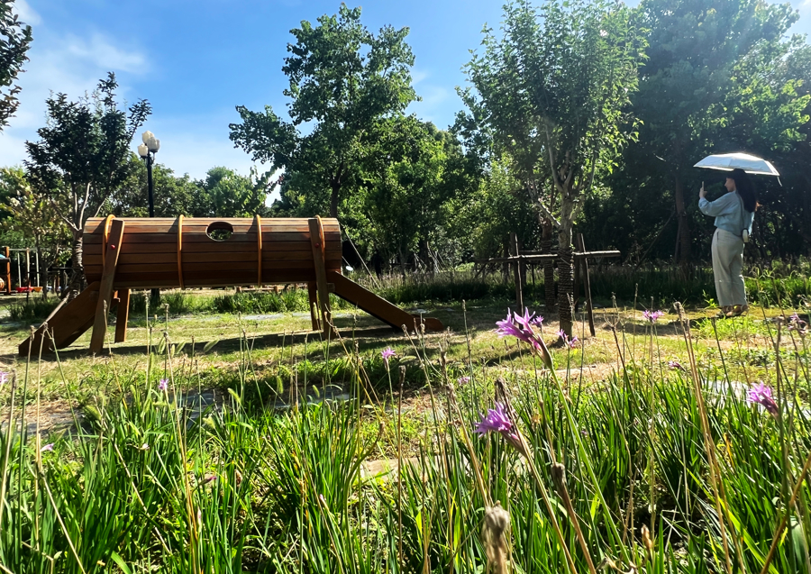 Shanghai publie le bilan de la construction écologique du « XIVᵉ Plan quinquennal »