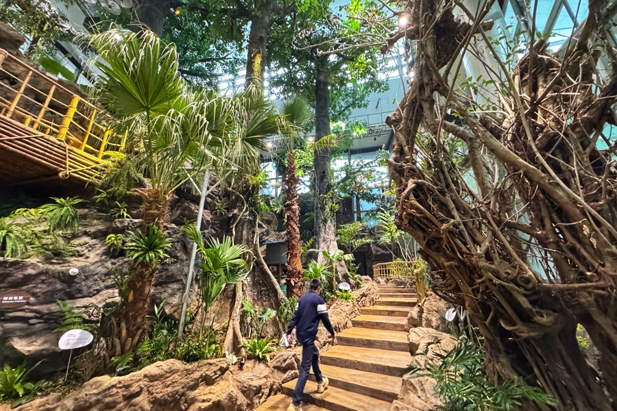 Le Musée des sciences et des technologies de Shanghai fait entrer une « forêt tropicale » en pleine ville