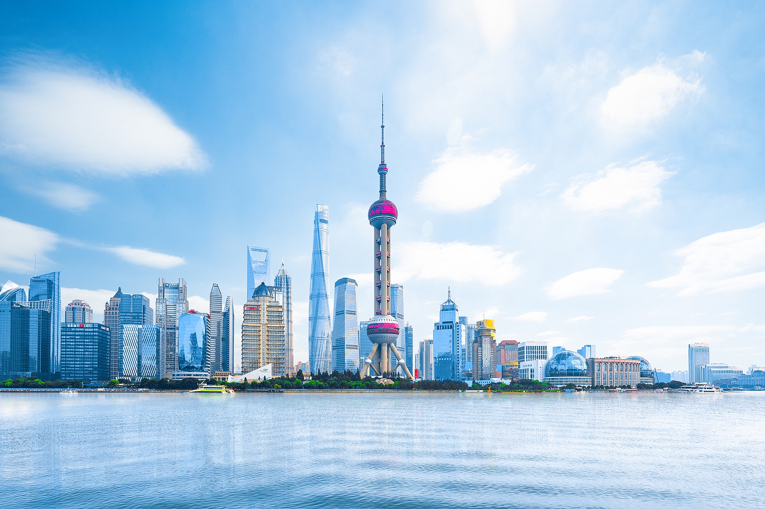 fig1+标题图.jpg fig1+标题图.jpg