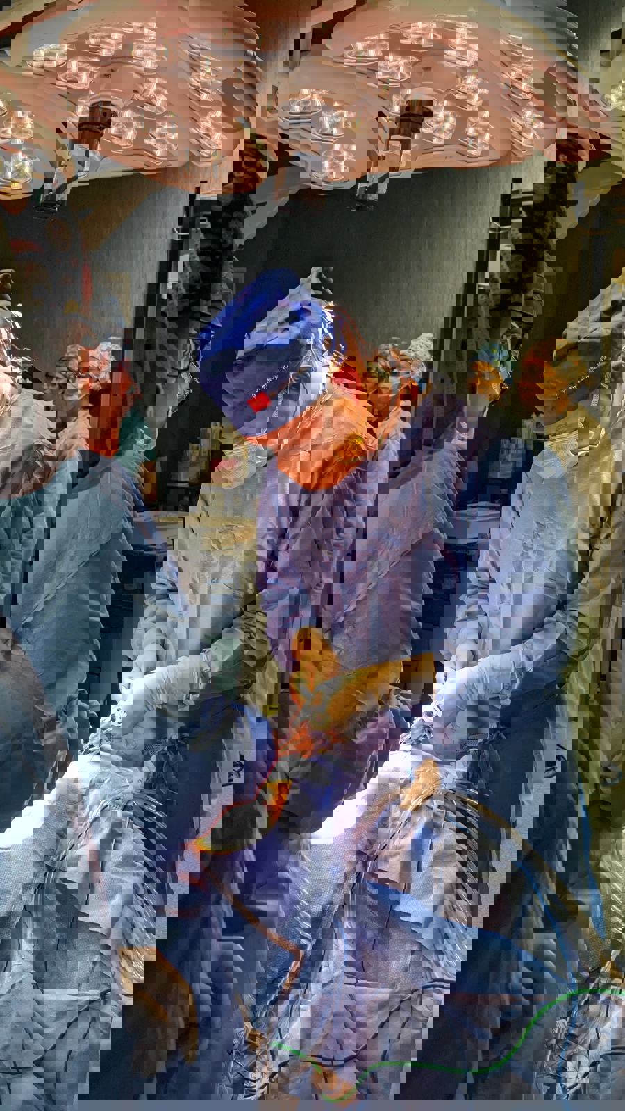 fig2.jpg fig2.jpg