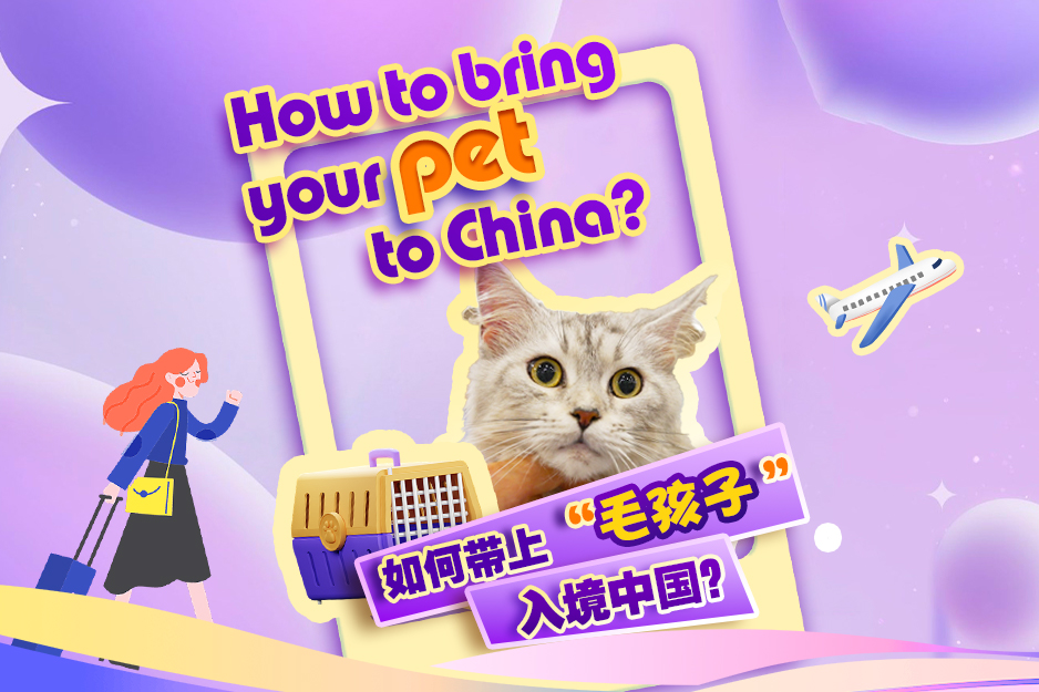 Comment faire pour emmener votre animal de compagnie en Chine ?